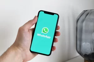 Curso Catálogos y Etiquetas de WhatsApp Business